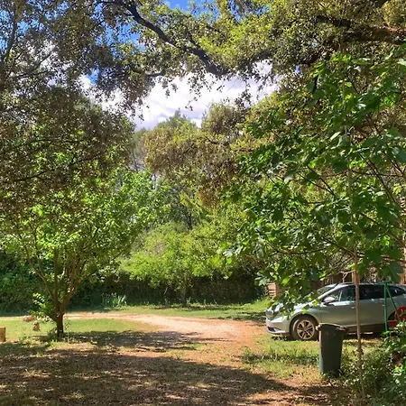 Villa Charmante Carriere Provencale Villeneuve-les-Avignon